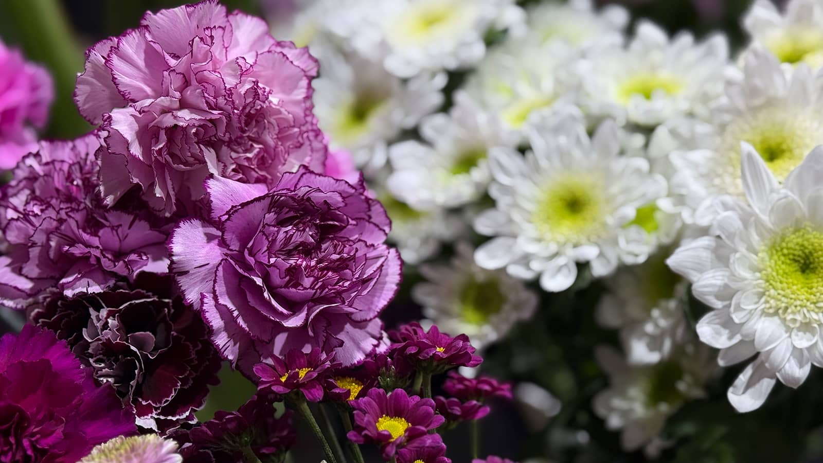 Frische Blumensträuße - Blumenladen Pforzheim