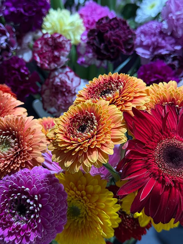 Blumenstrauß - frische saisonale Blumen Pforzheim
